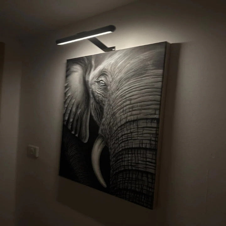 Cordless LED Art Display Lamp for Paintings and Decor
