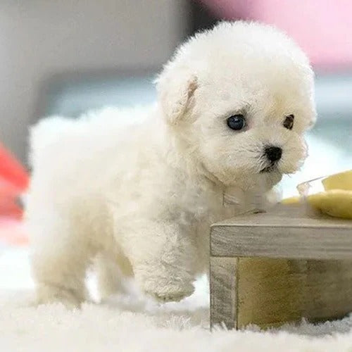 Kids Stuffed Puppy Toy Interactive Plush Play