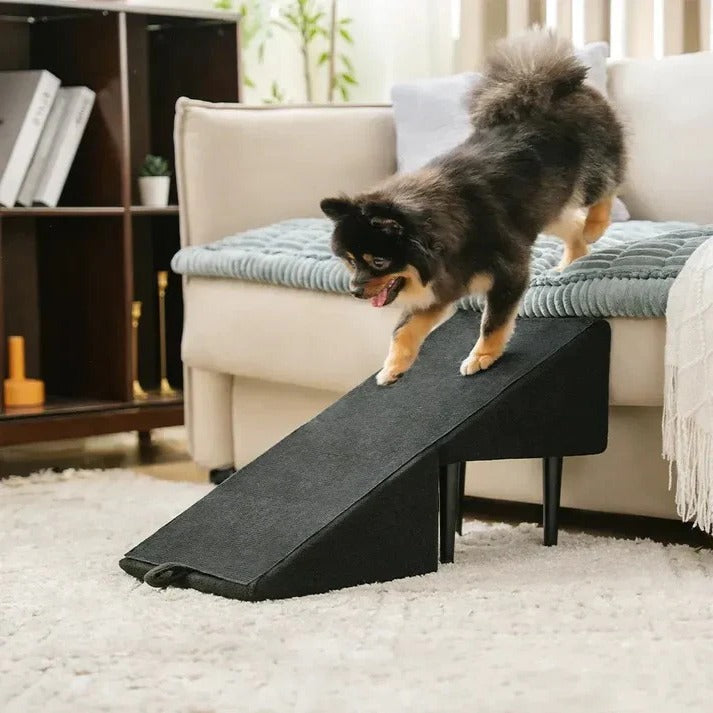 Pet Steps and Ramp Folding Convertible 2-in-1 Furniture Aid - Lenila