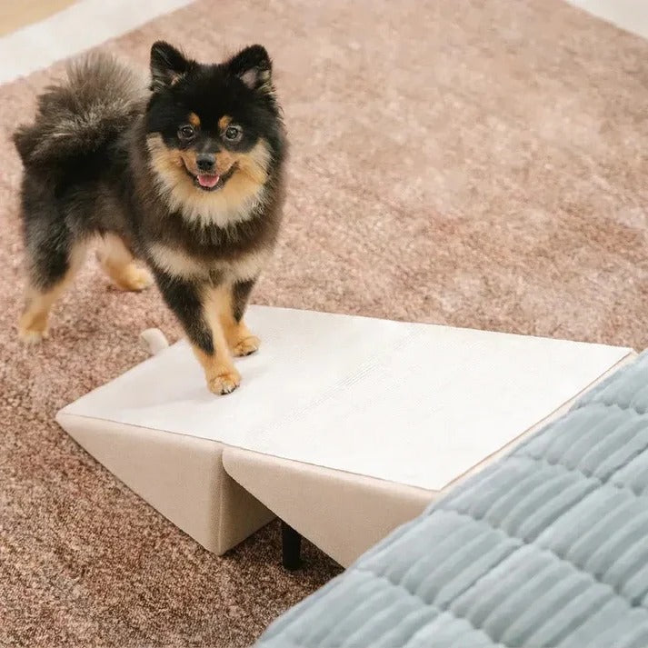 Pet Steps and Ramp Folding Convertible 2-in-1 Furniture Aid