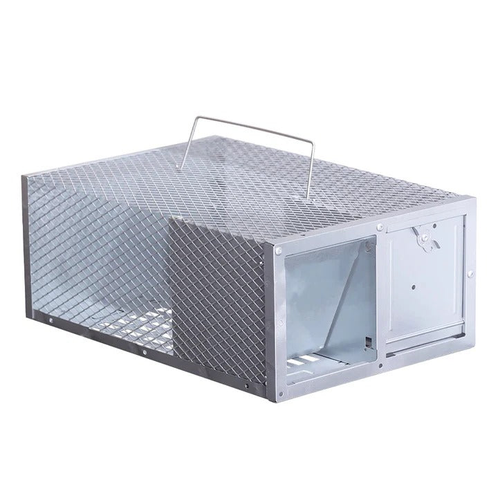 Reusable Metal Mouse Trap Cage with Single Door - Lenila