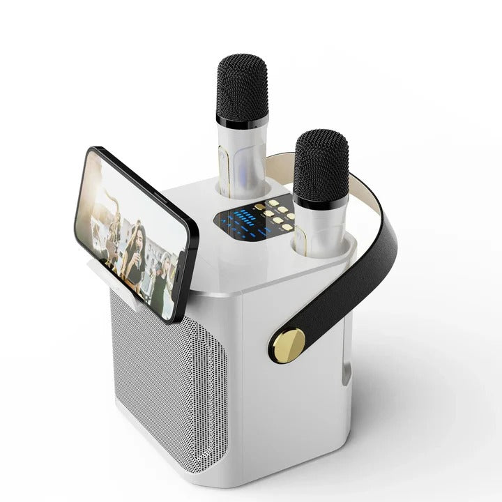 Portable Bluetooth Speaker with Karaoke Function and Audio Output - Lenila