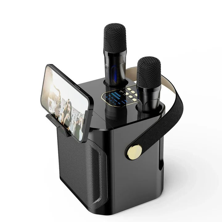 Portable Bluetooth Speaker with Karaoke Function and Audio Output