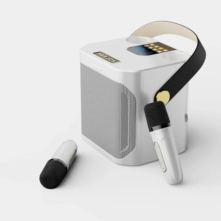 Portable Bluetooth Speaker with Karaoke Function and Audio Output