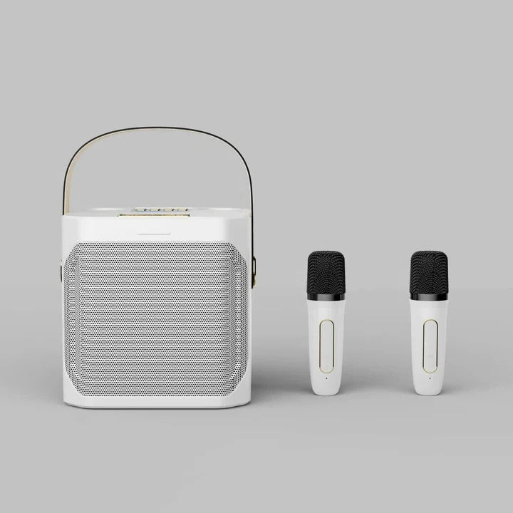 Portable Bluetooth Speaker with Karaoke Function and Audio Output