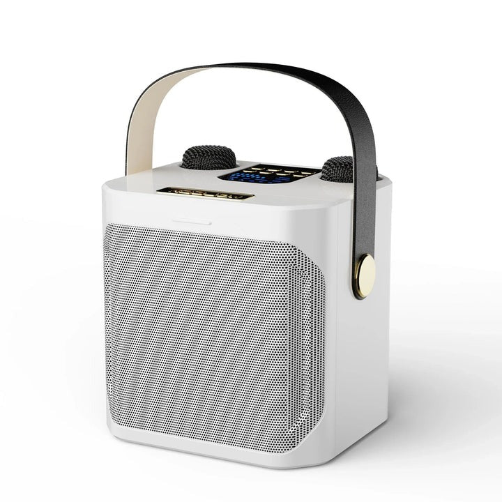 Portable Bluetooth Speaker with Karaoke Function and Audio Output