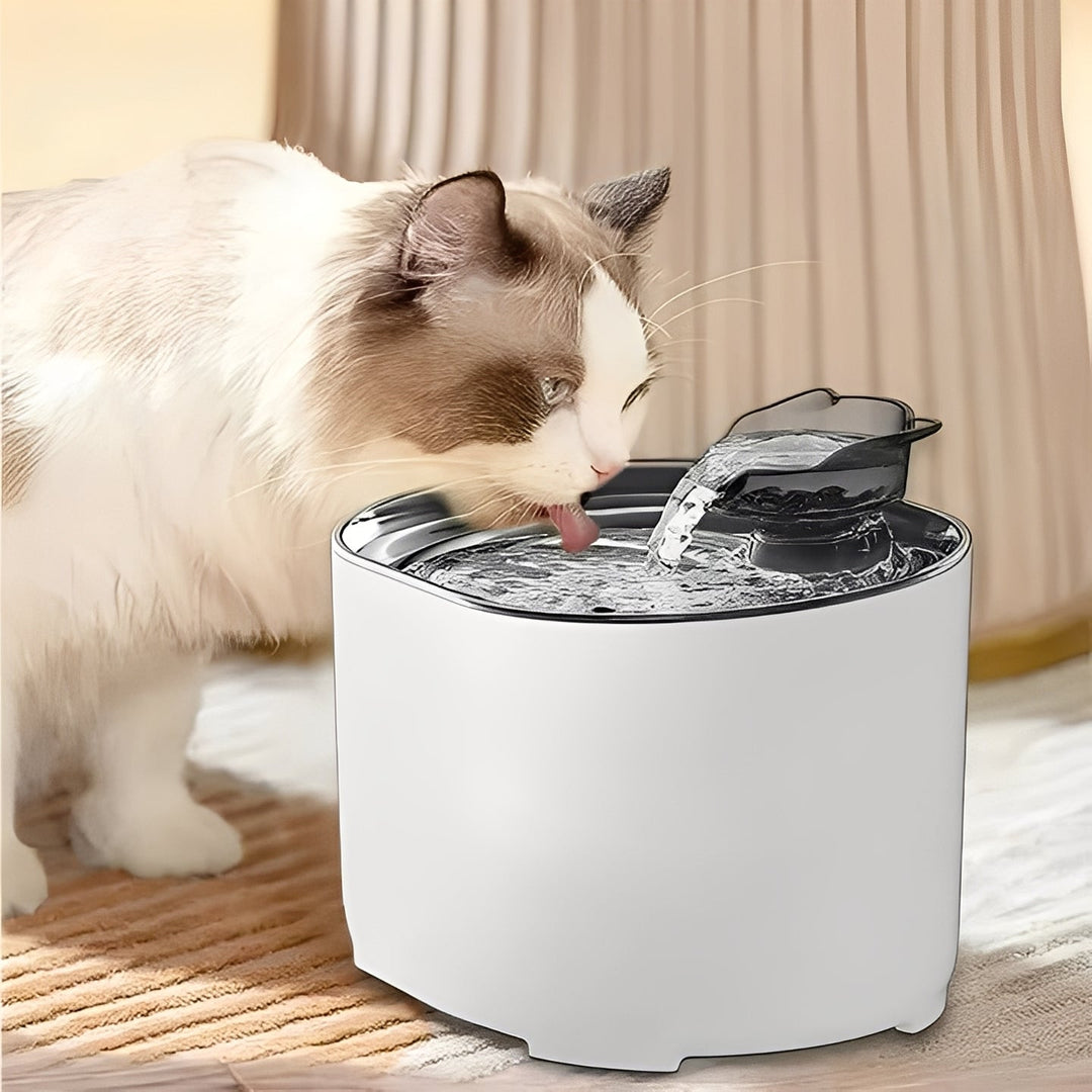 Pet Cat Drinking Fountain with Water Dispenser Automatic Flow - Lenila