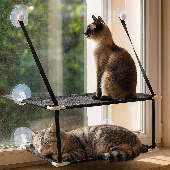 Pet Window Mounted Cat Hammock and Perch - Lenila