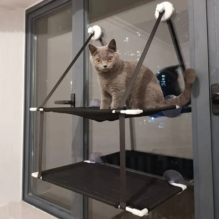 Pet Window Mounted Cat Hammock and Perch