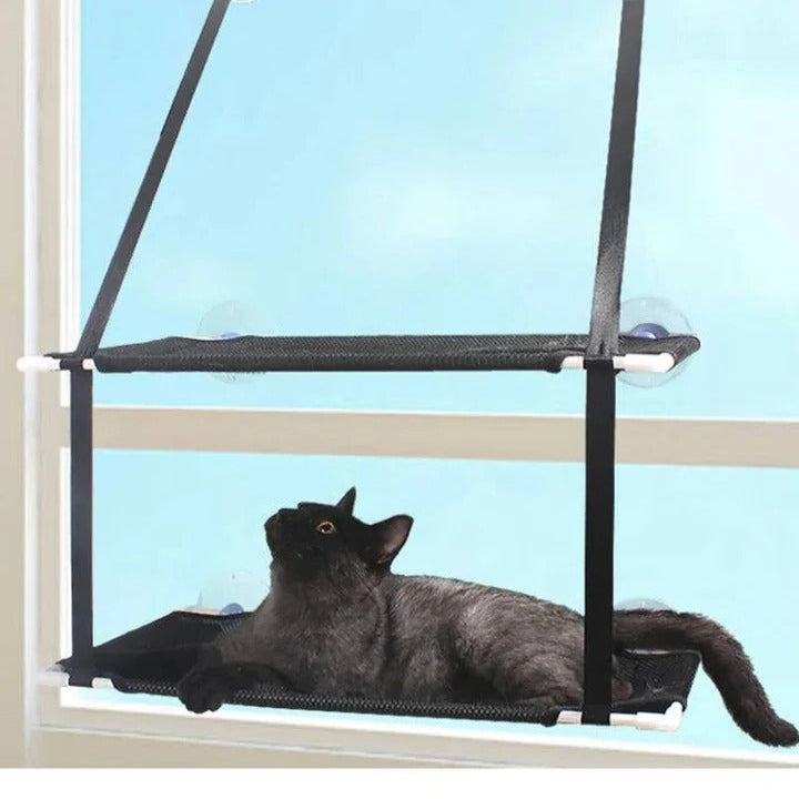 Pet Window Mounted Cat Hammock and Perch