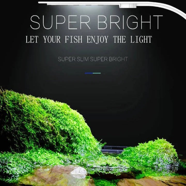 Slim LED for Aquarium Plants and Fish Tank Use