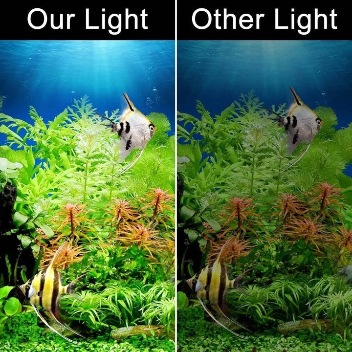 Slim LED for Aquarium Plants and Fish Tank Use
