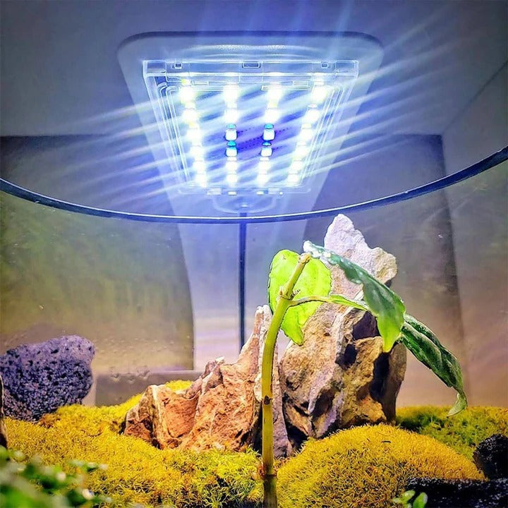 Slim LED for Aquarium Plants and Fish Tank Use