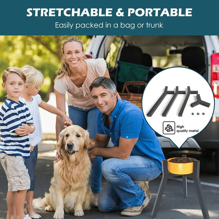 Pet Raised Dog Bowl Stand Elevated Feeding Station