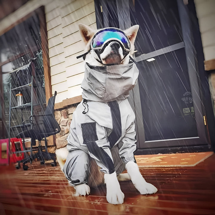 Dog Waterproof Raincoat Outerwear Weather Resistant