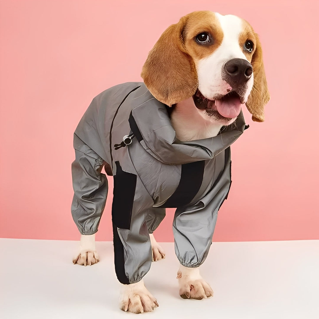 Dog Waterproof Raincoat Outerwear Weather Resistant