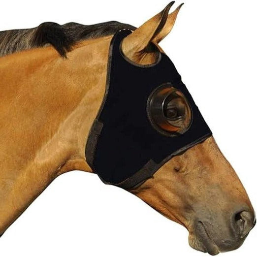 Equine Blinders for Focus and Concentration - Lenila