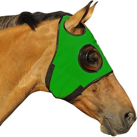Equine Blinders for Focus and Concentration