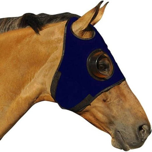 Equine Blinders for Focus and Concentration