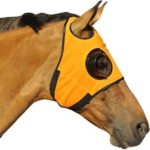 Equine Blinders for Focus and Concentration