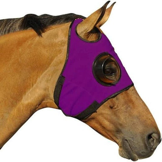 Equine Blinders for Focus and Concentration