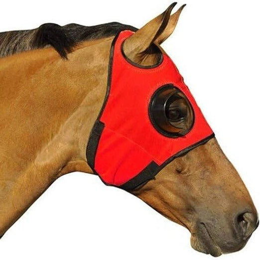 Equine Blinders for Focus and Concentration