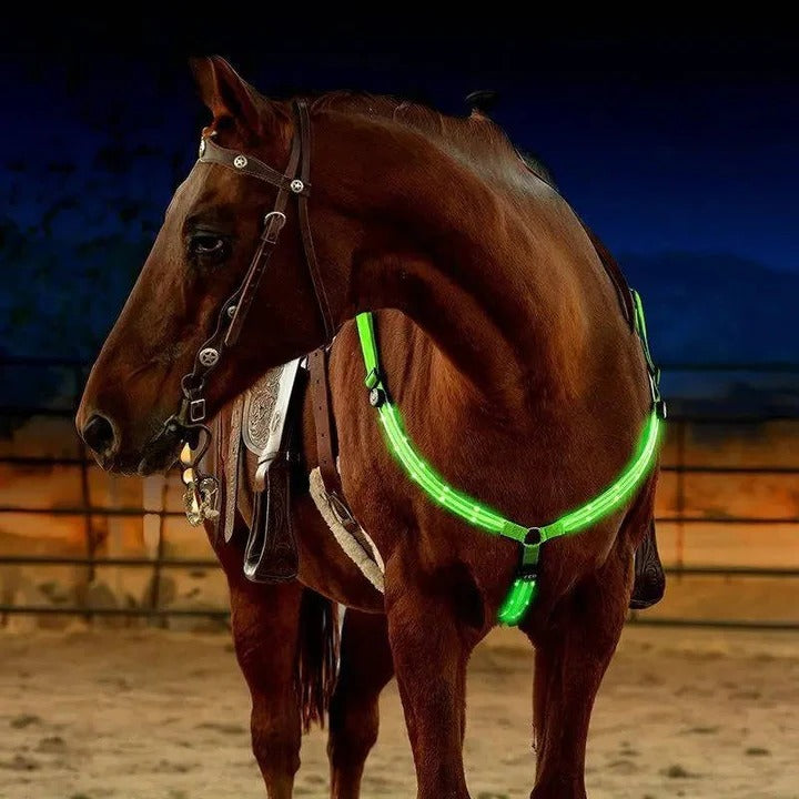 Equestrian Breast Collar with LED Lights Night Riding - Lenila