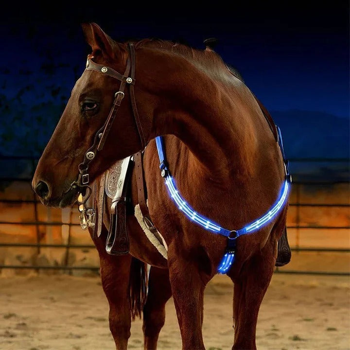 Equestrian Breast Collar with LED Lights Night Riding
