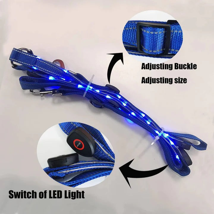 Equestrian Breast Collar with LED Lights Night Riding