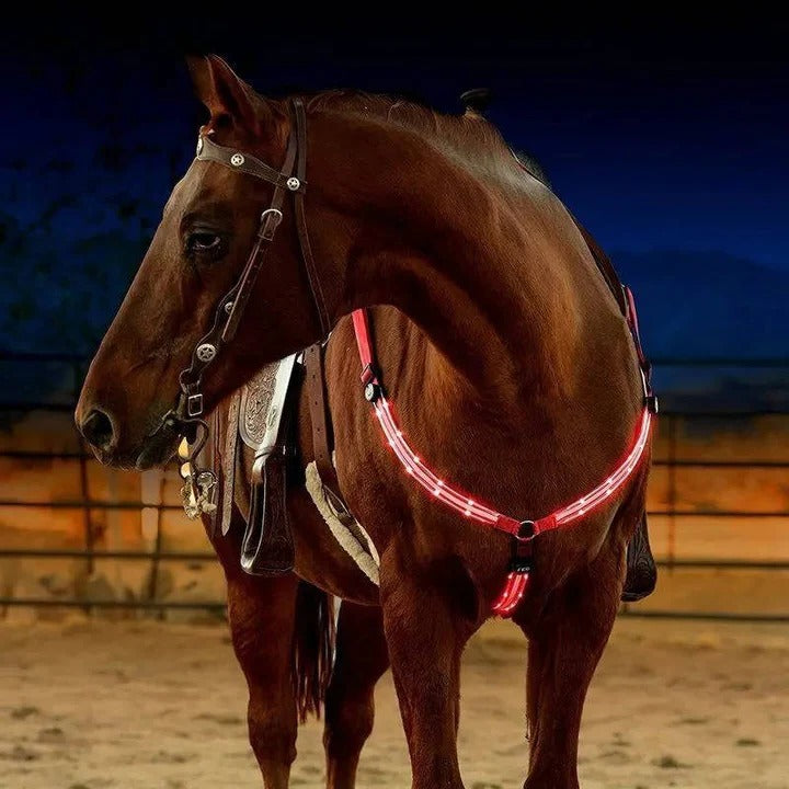 Equestrian Breast Collar with LED Lights Night Riding