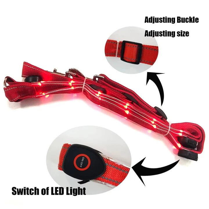 Equestrian Breast Collar with LED Lights Night Riding