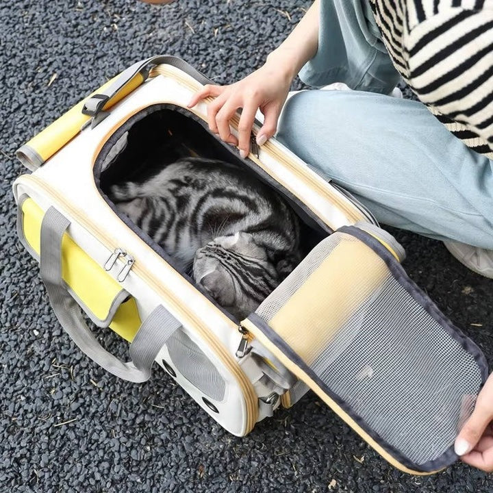 Travel Pet Carrier Lightweight Compact Design