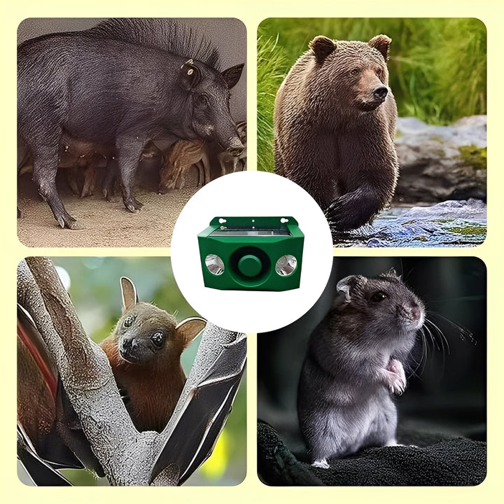 Solar Powered Animal Repellent Warning Lights for Outdoor Use