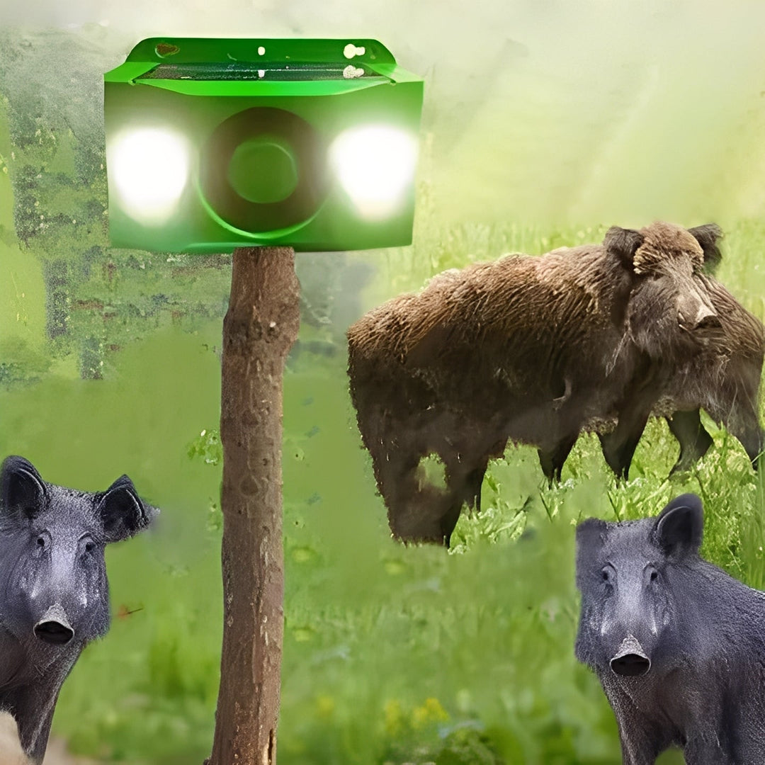Solar Powered Animal Repellent Warning Lights for Outdoor Use