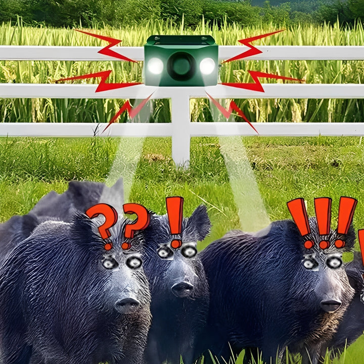 Solar Powered Animal Repellent Warning Lights for Outdoor Use