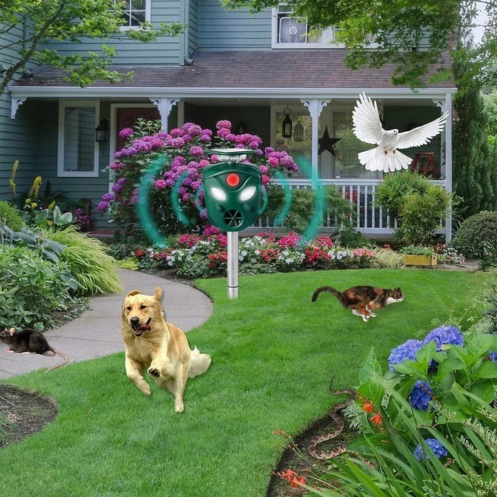 Solar Powered Ultrasonic Animal Repeller with Wide Coverage