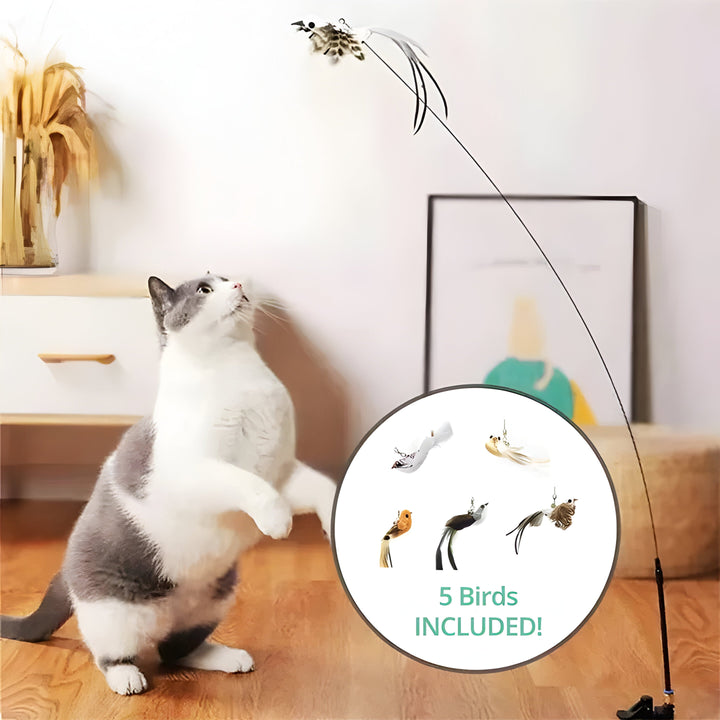 Pet Toy Set Feather Bird Simulation Interactive Play