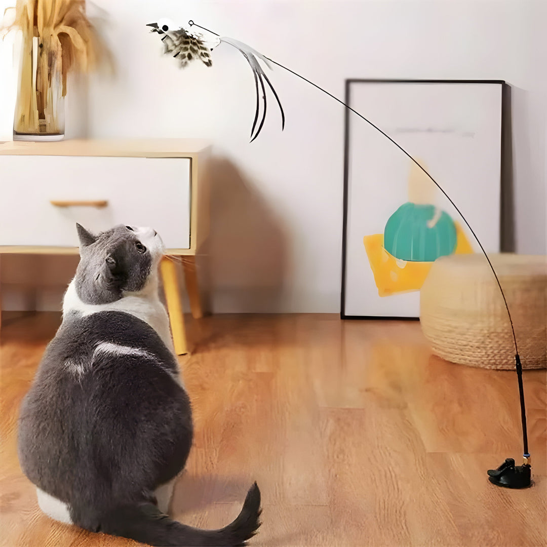 Pet Toy Set Feather Bird Simulation Interactive Play