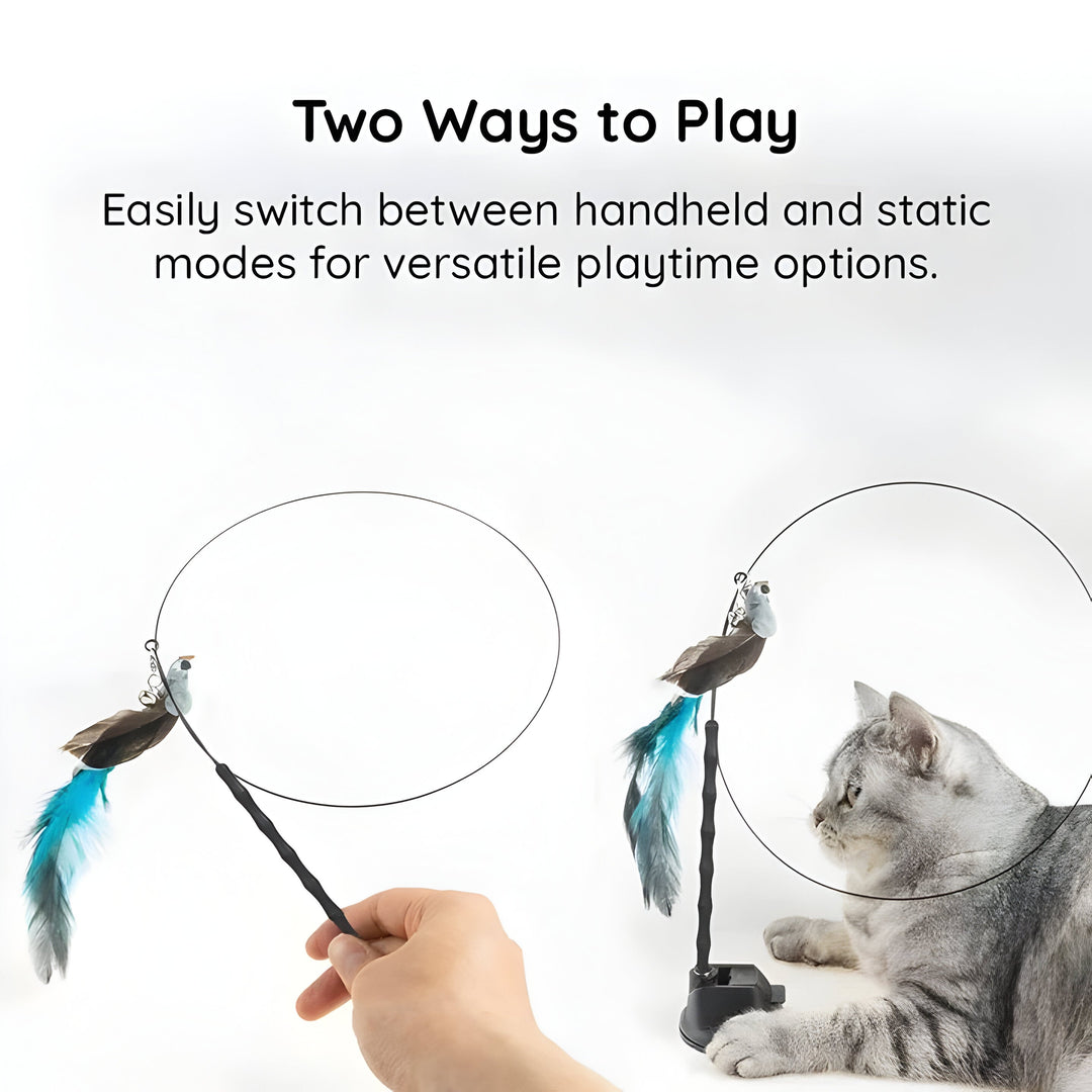 Pet Toy Set Feather Bird Simulation Interactive Play