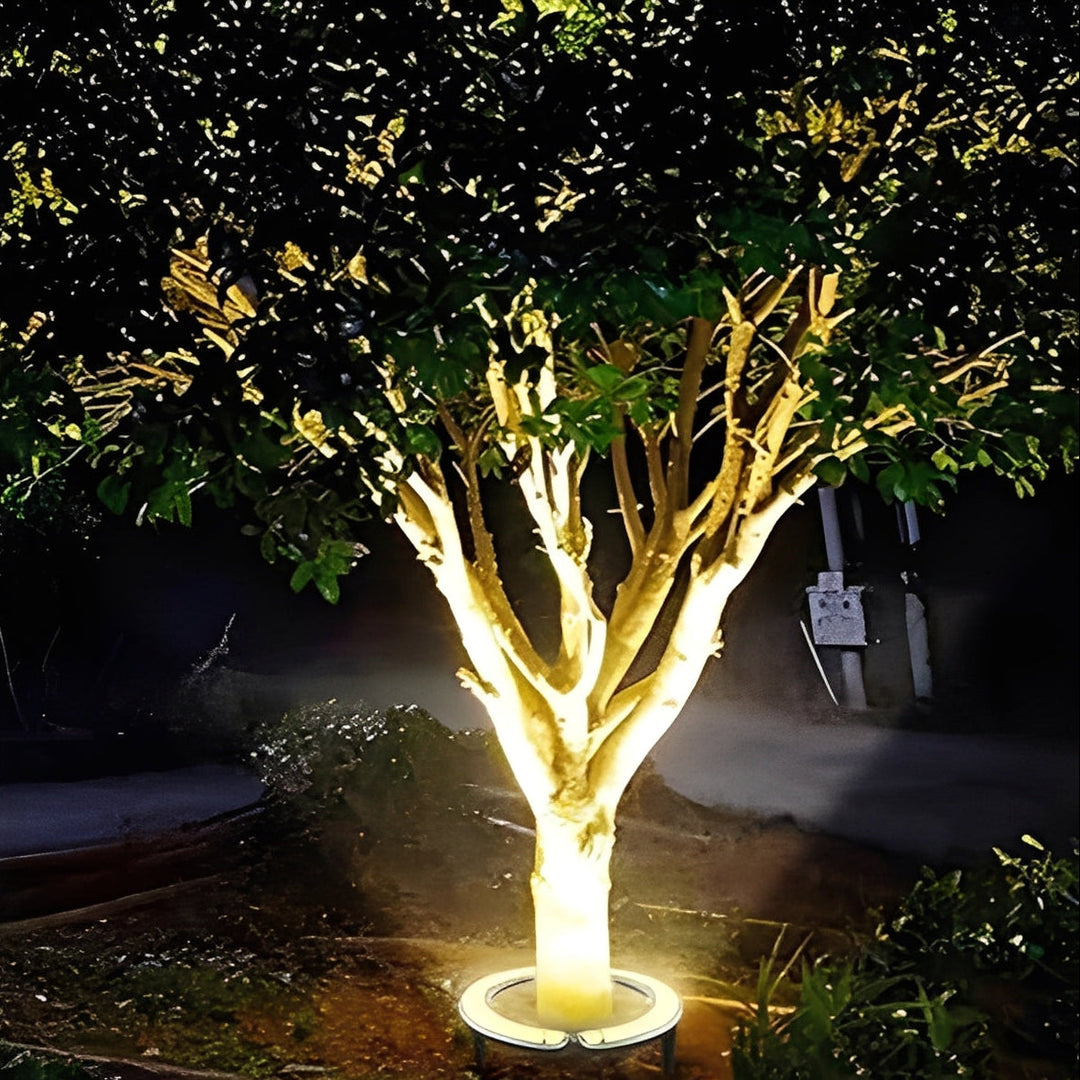 Outdoor LED Spotlight for Landscape and Tree Lighting - Lenila