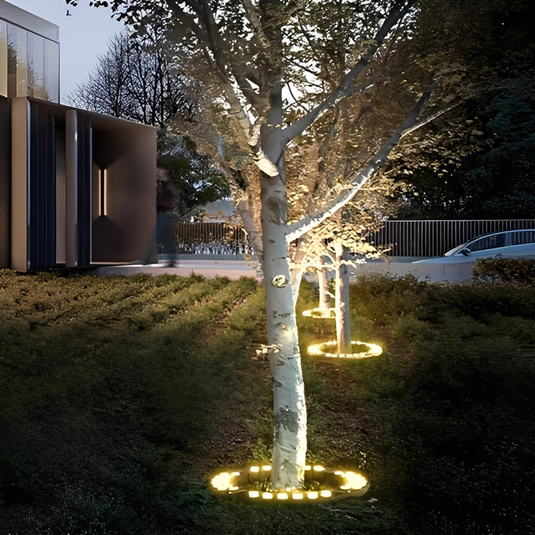 Outdoor LED Spotlight for Landscape and Tree Lighting
