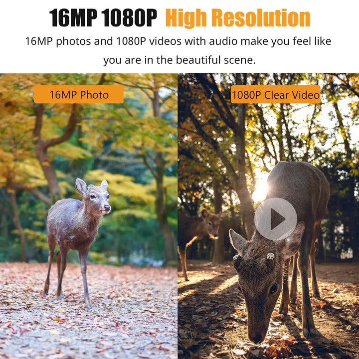 Trail Camera with Night Vision High Resolution Surveillance