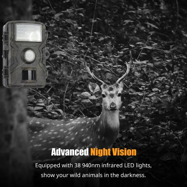Trail Camera with Night Vision High Resolution Surveillance