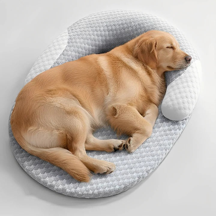 Orthopedic Dog Bed with Memory Foam Washable Cooling Support