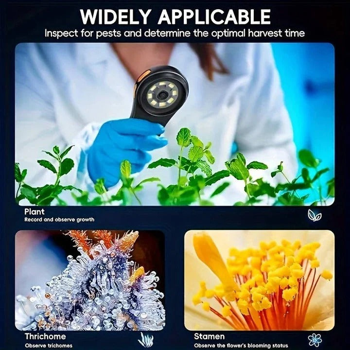 Portable USB Digital Microscope with 500X Magnification for