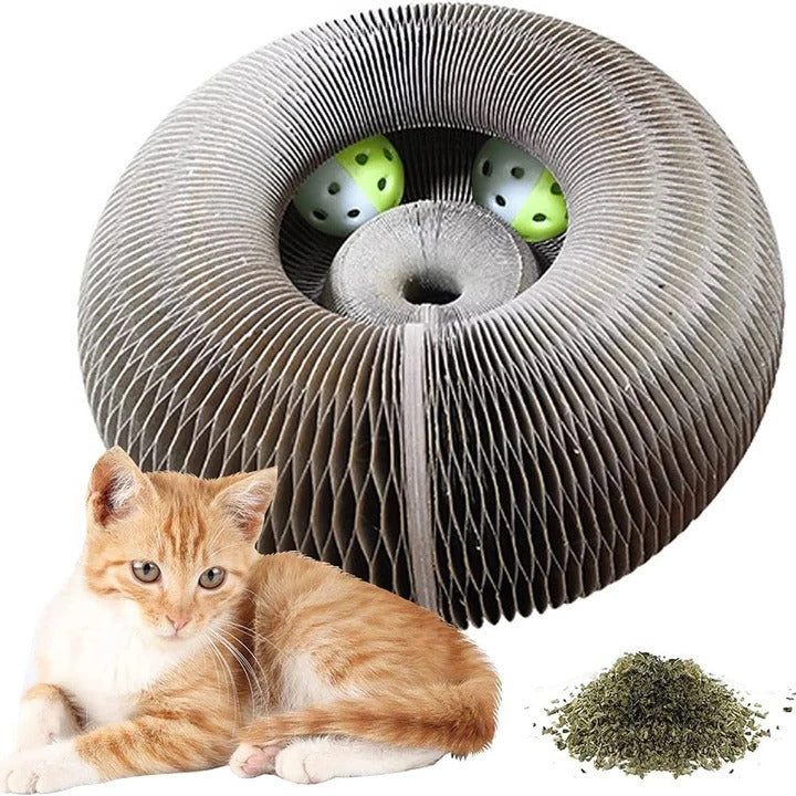 Pet Cat Scratcher with Circular Design and Integrated Ball Track