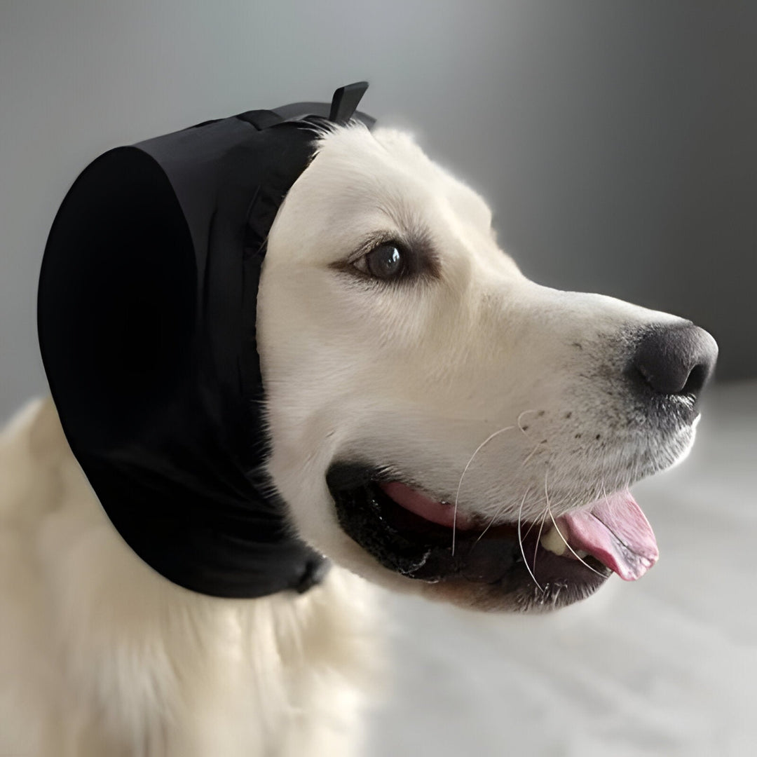 Pet Hearing Protection Muffs Noise Reduction Adjustable Fit - Lenila