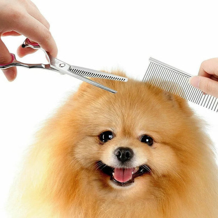 Pet Grooming Scissors Stainless Steel Precision Cut - Lenila
