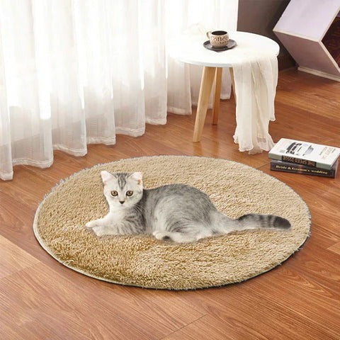Electric Heated Pet Pad USB Power Port Rapid Warming Technology