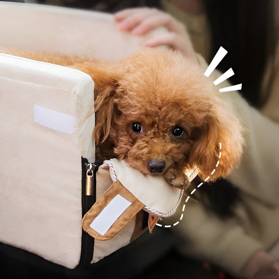Pet Armrest Seat and Travel Bag for Small Dogs and Cats